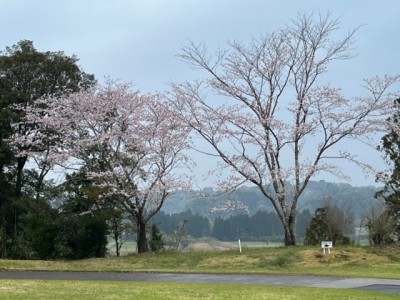 20220328宮崎ゴルフ場